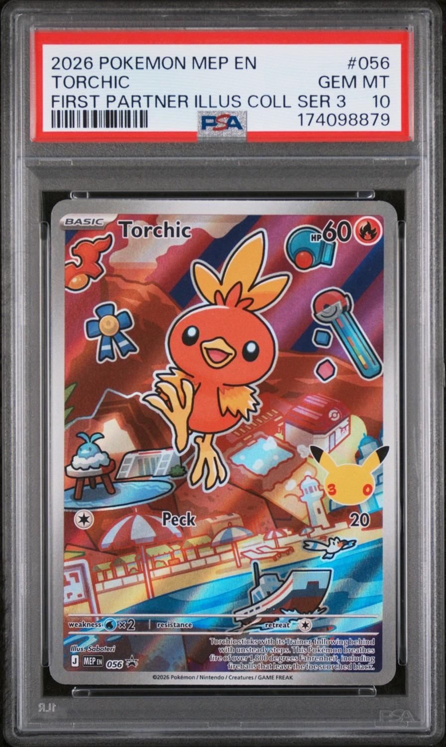 Torchic