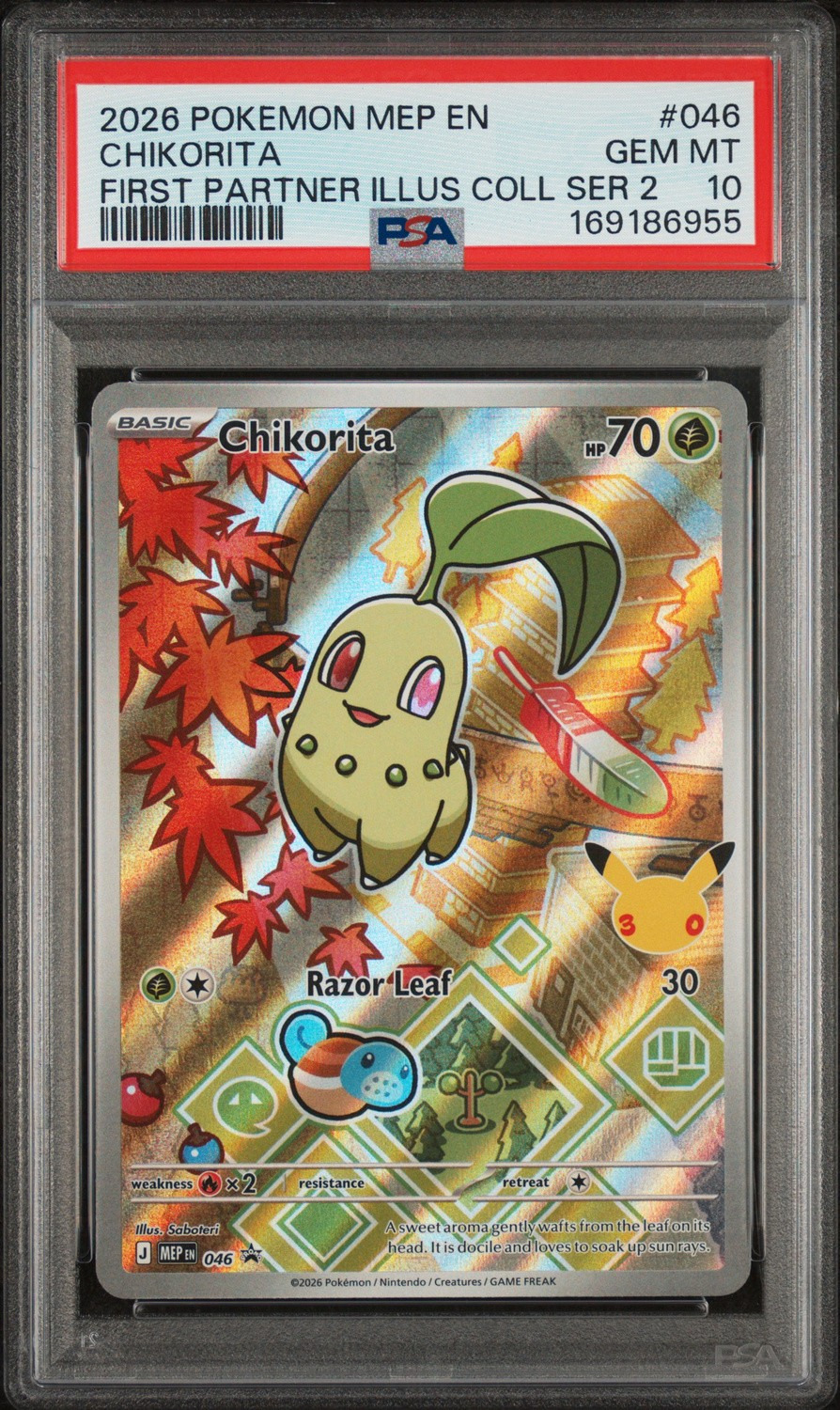 Chikorita
