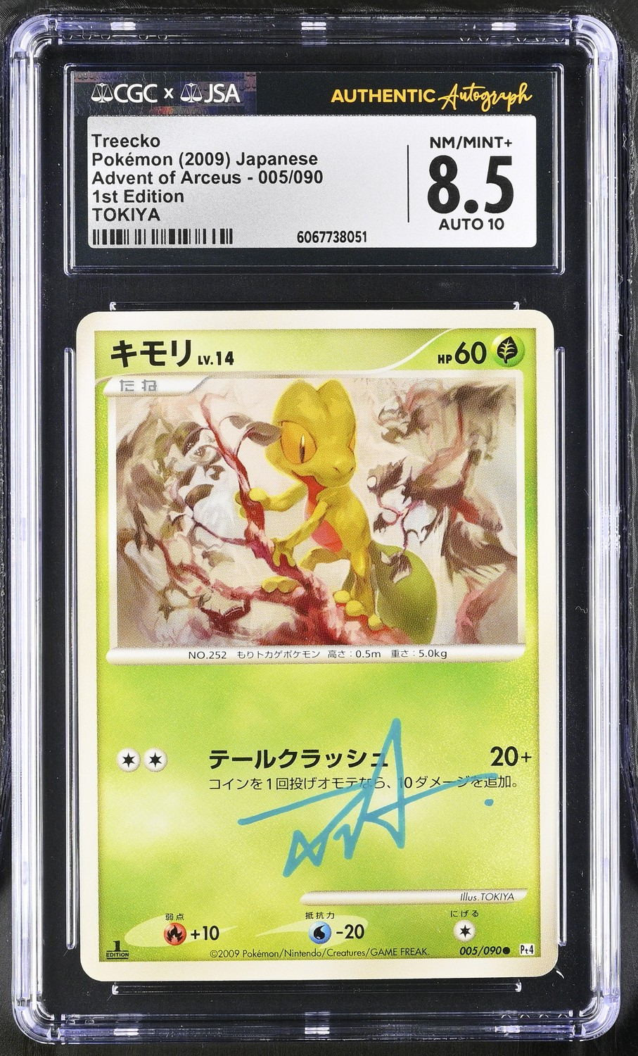 Treecko