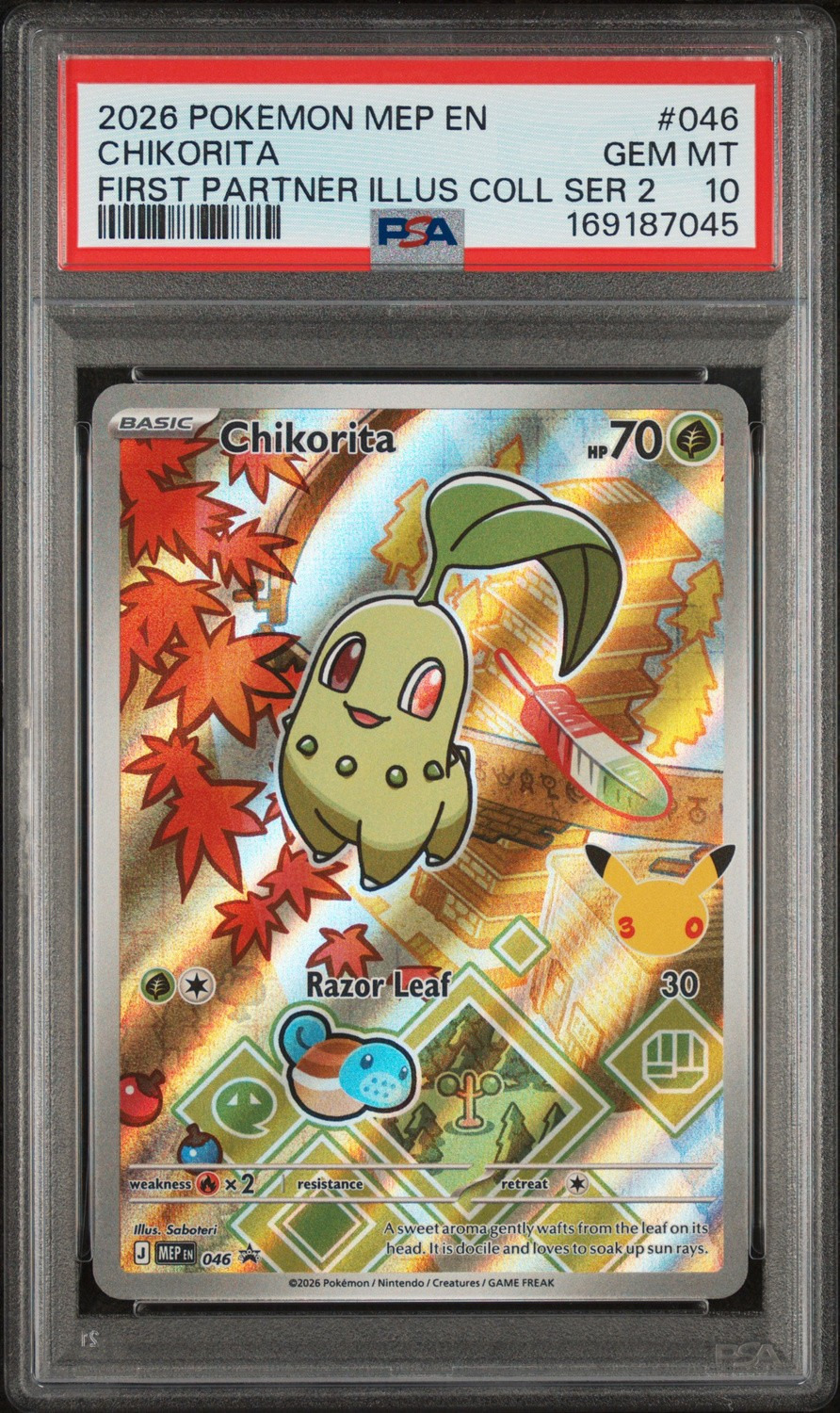 Chikorita
