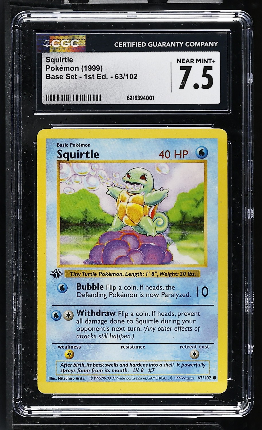 Squirtle