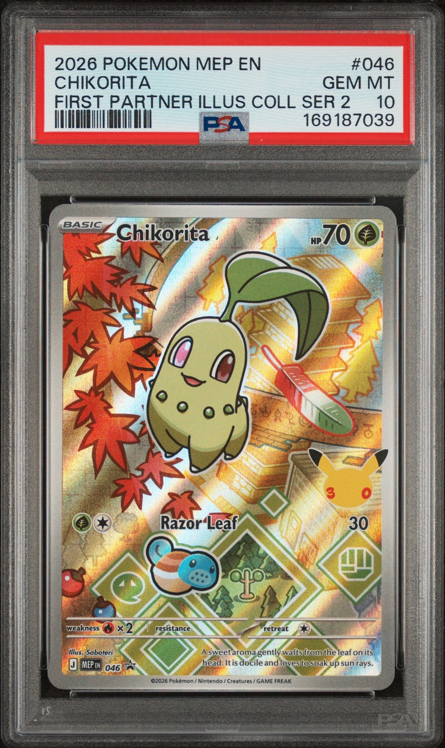 Chikorita