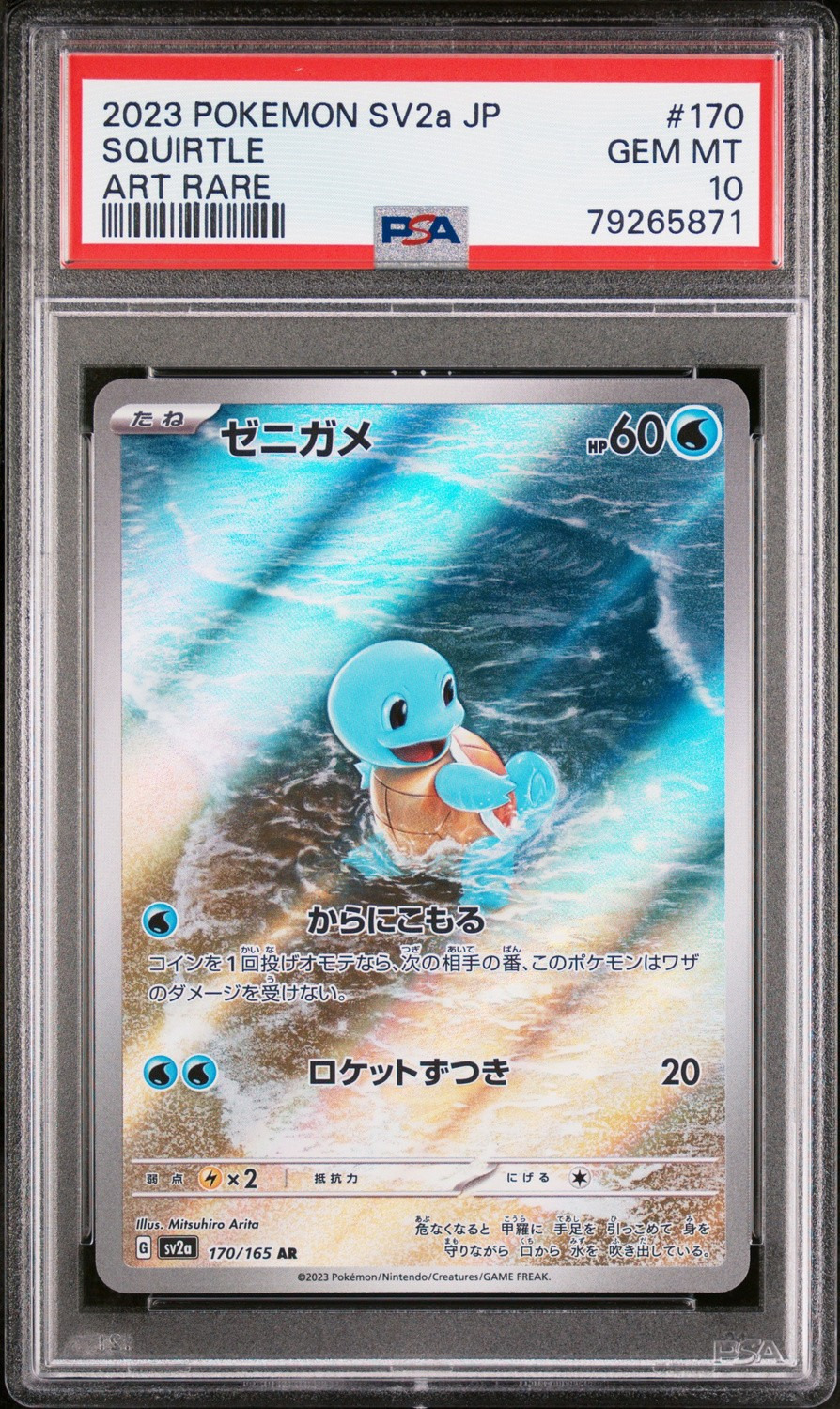 Squirtle