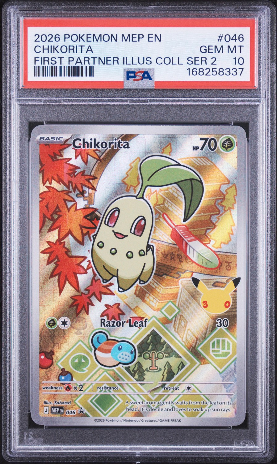 Chikorita