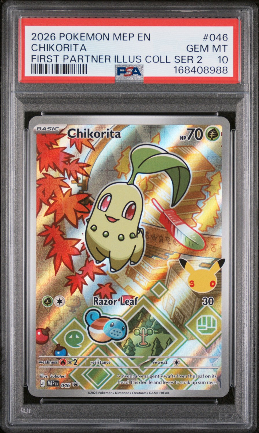Chikorita