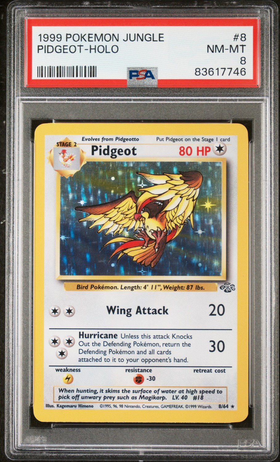 Pidgeot