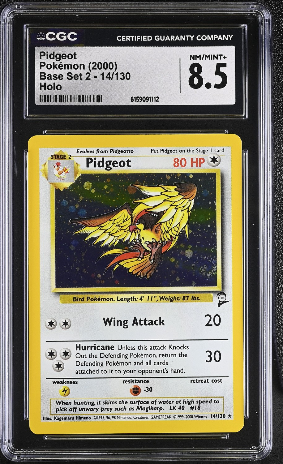 Pidgeot
