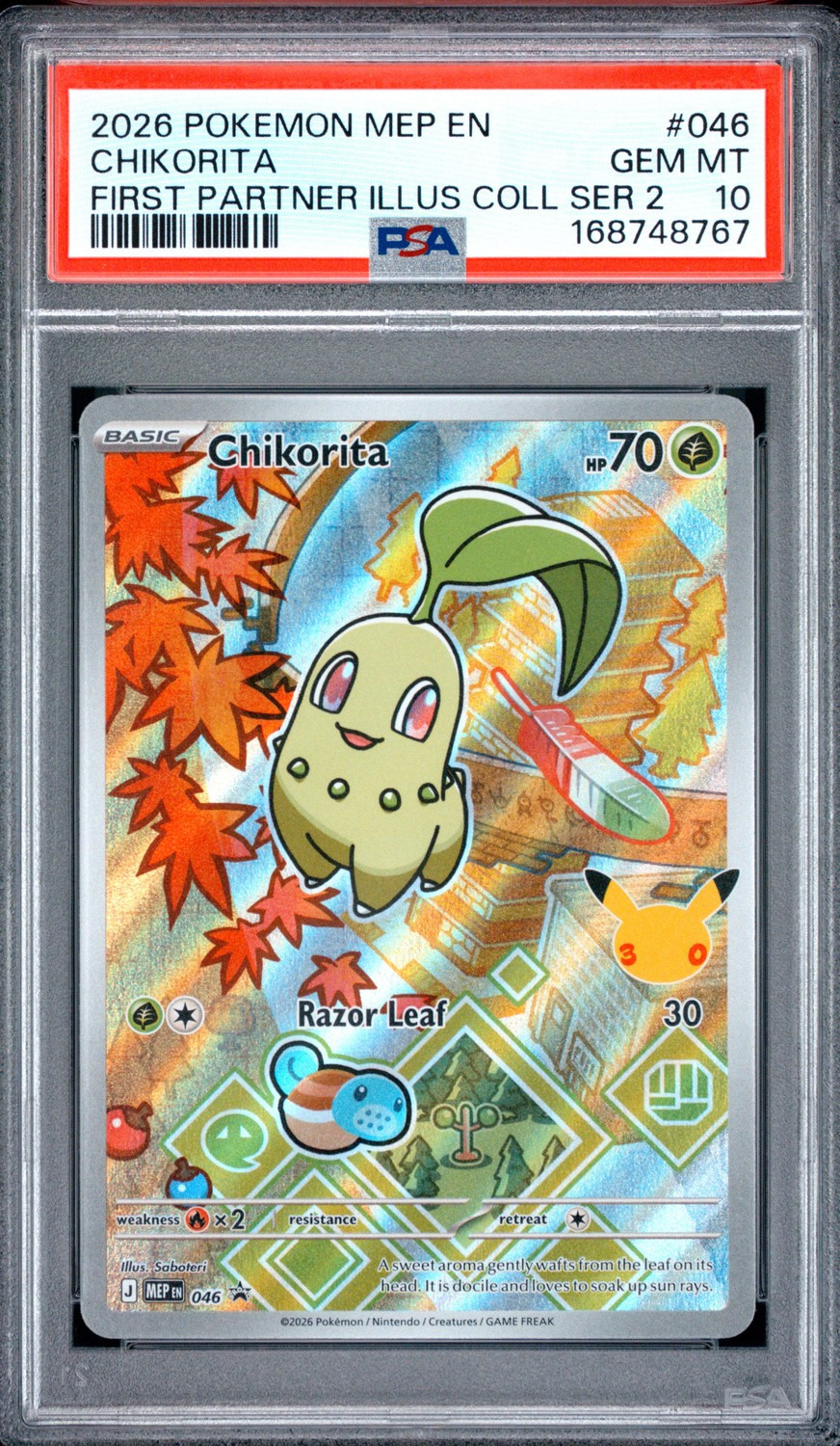 Chikorita