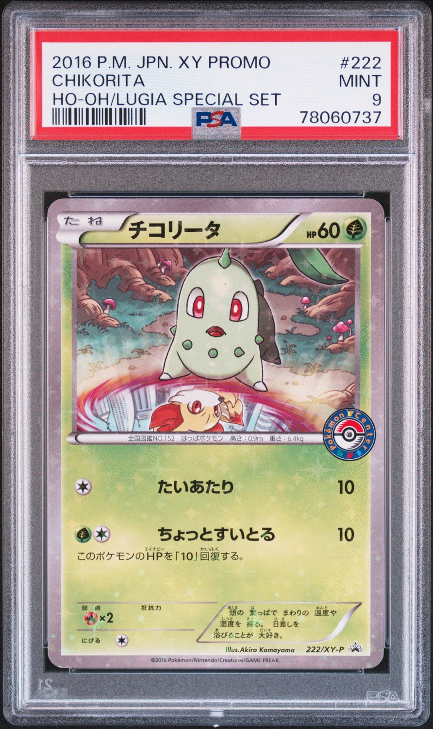Chikorita