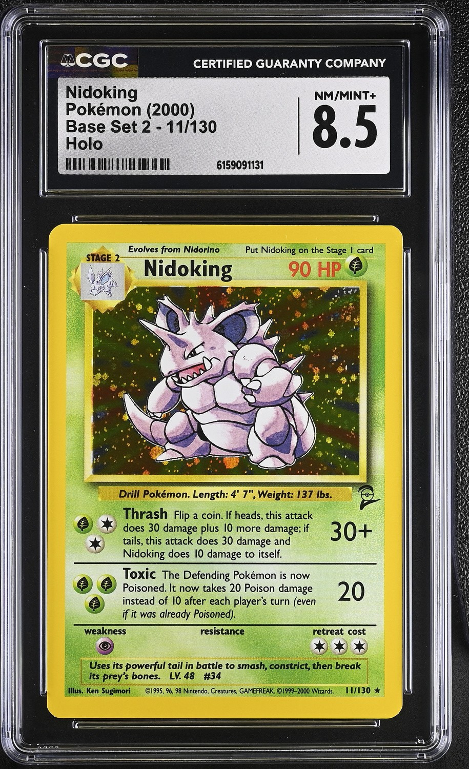 Nidoking