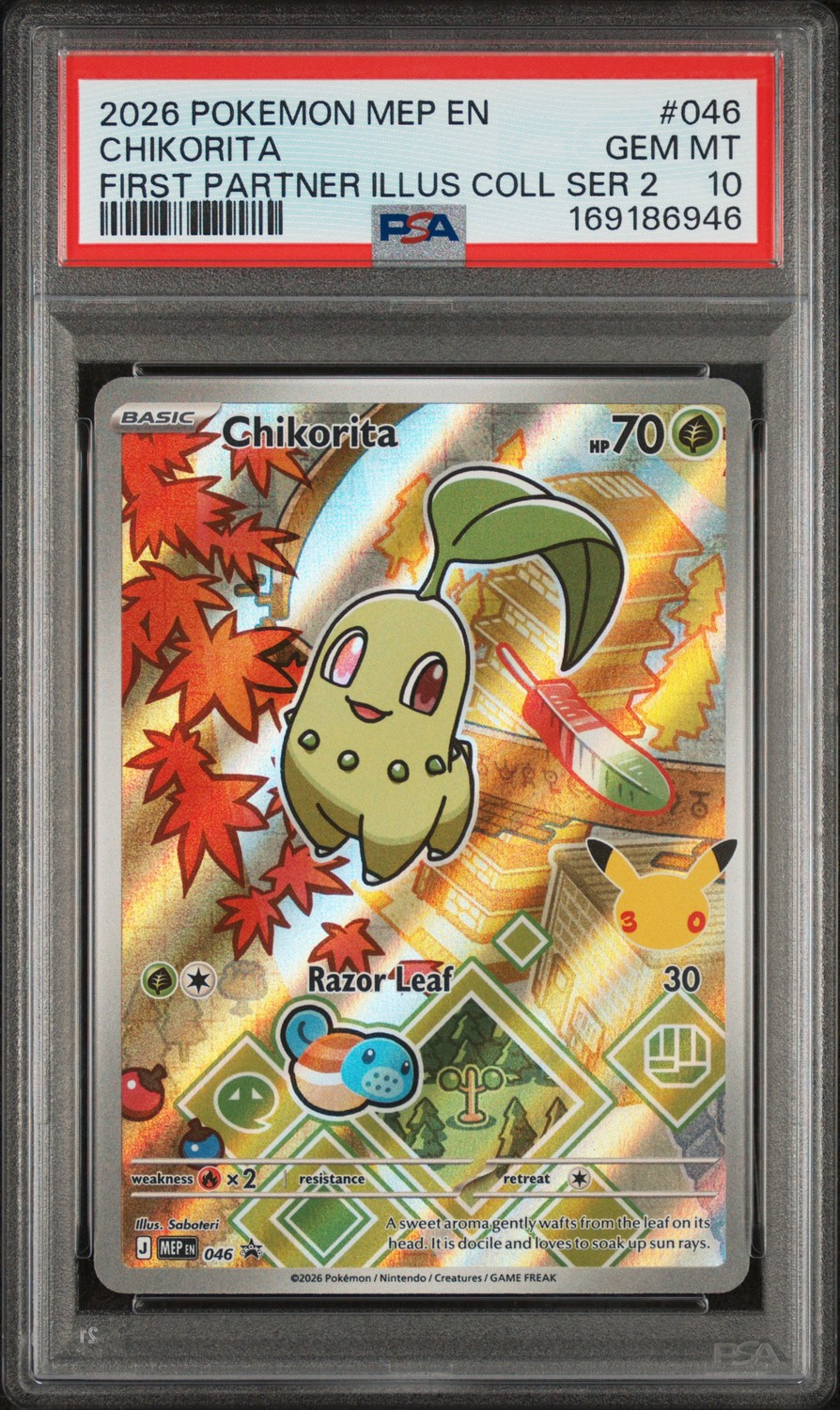 Chikorita