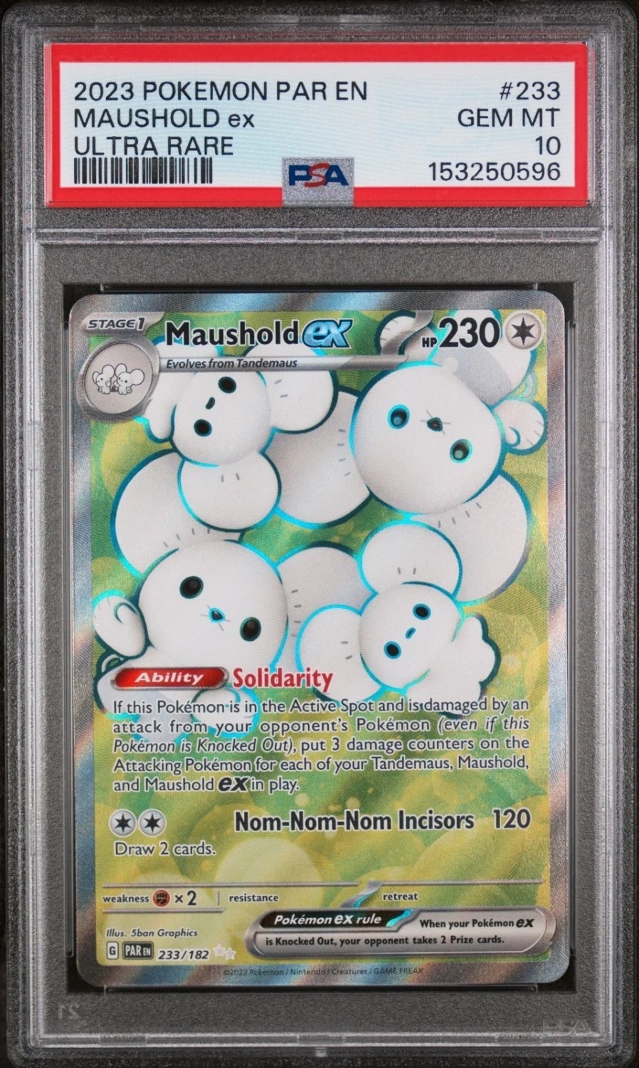 MAUSHOLD ex