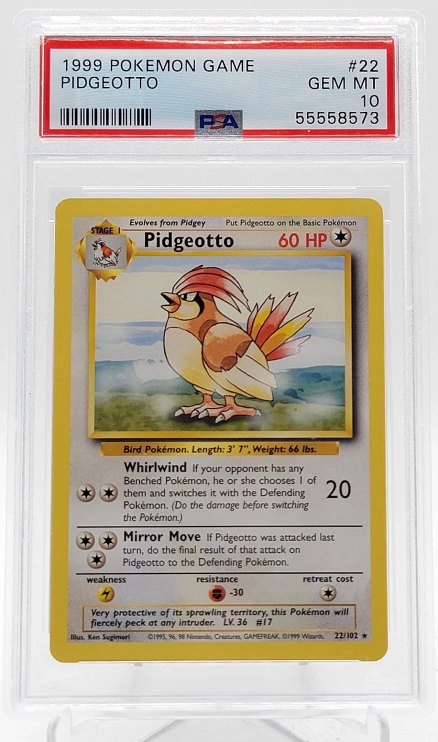 PIDGEOTTO
