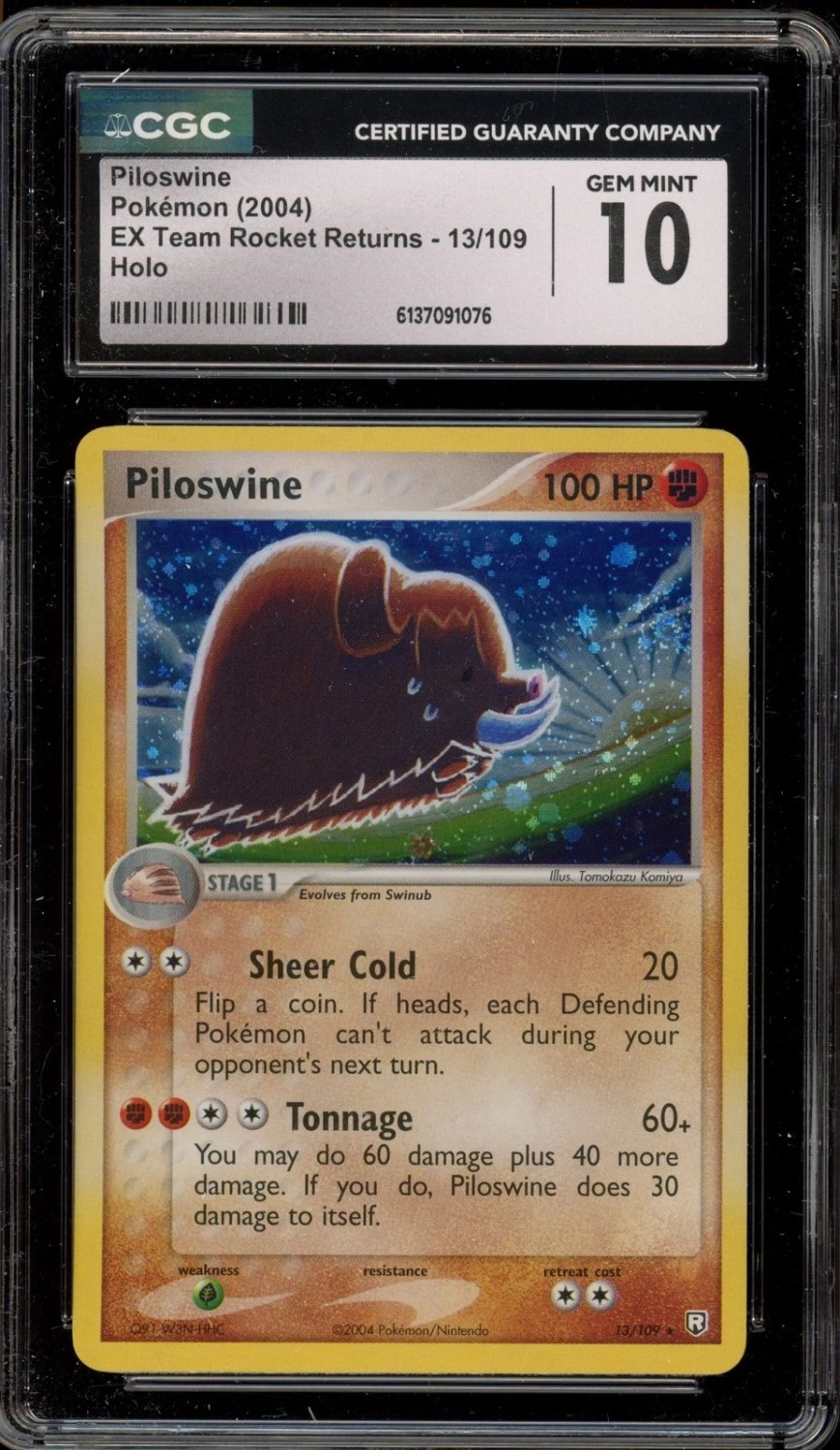 Piloswine
