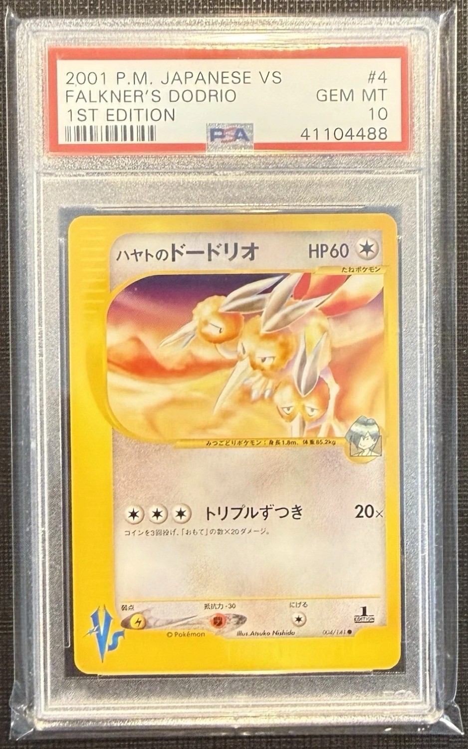 Falkner's Dodrio