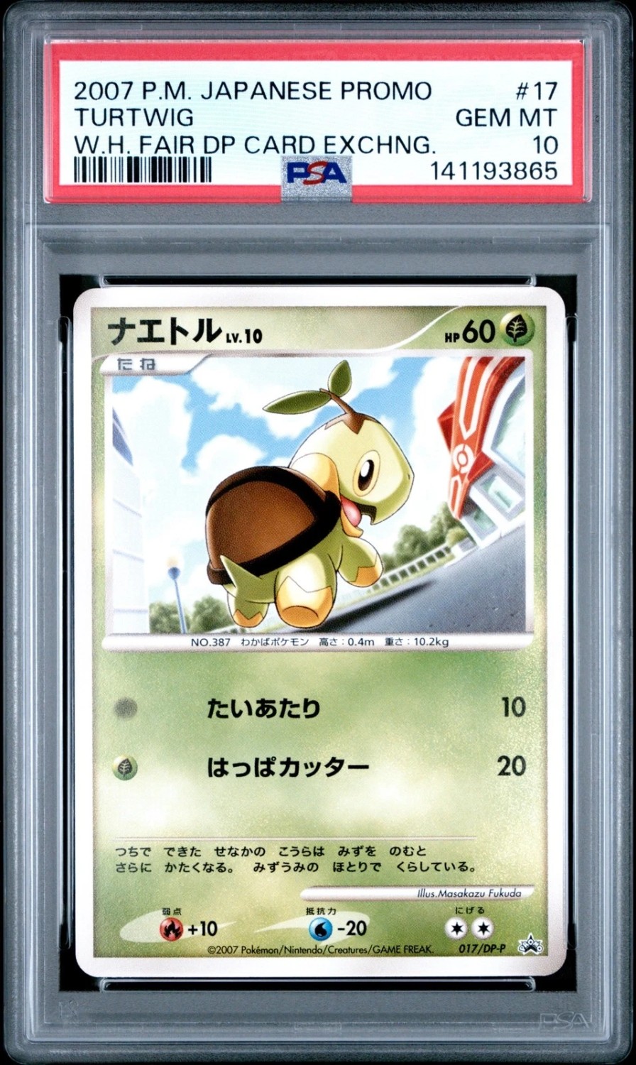 Turtwig