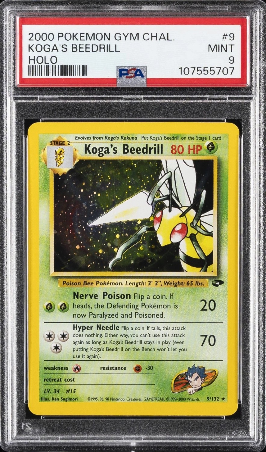 Koga's Beedrill