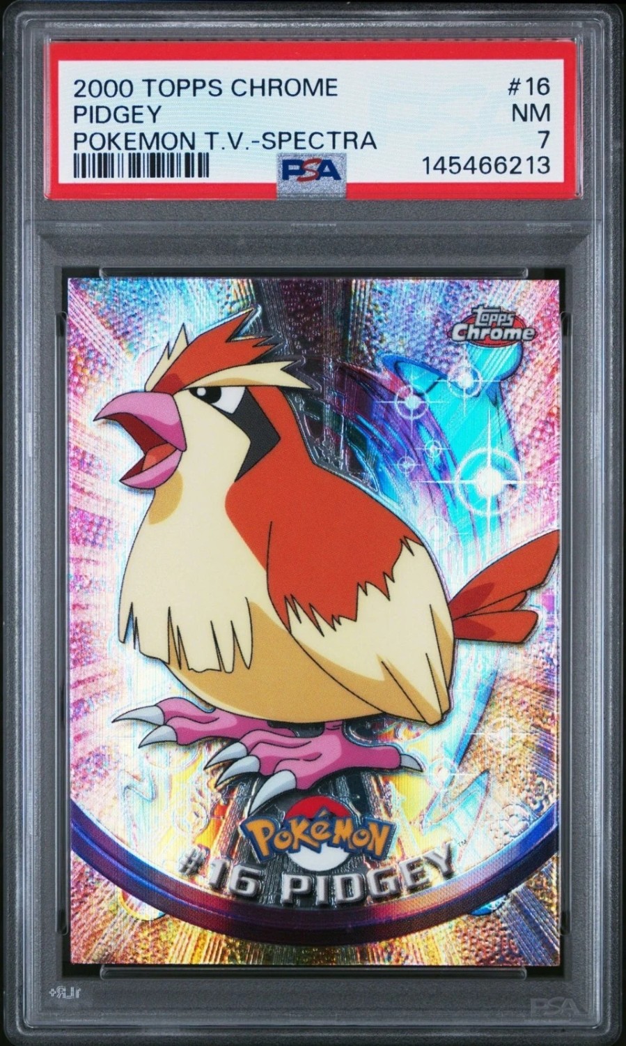 PIDGEY