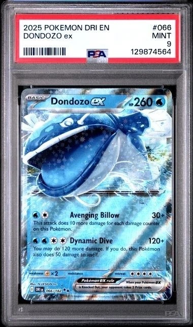 DONDOZO ex