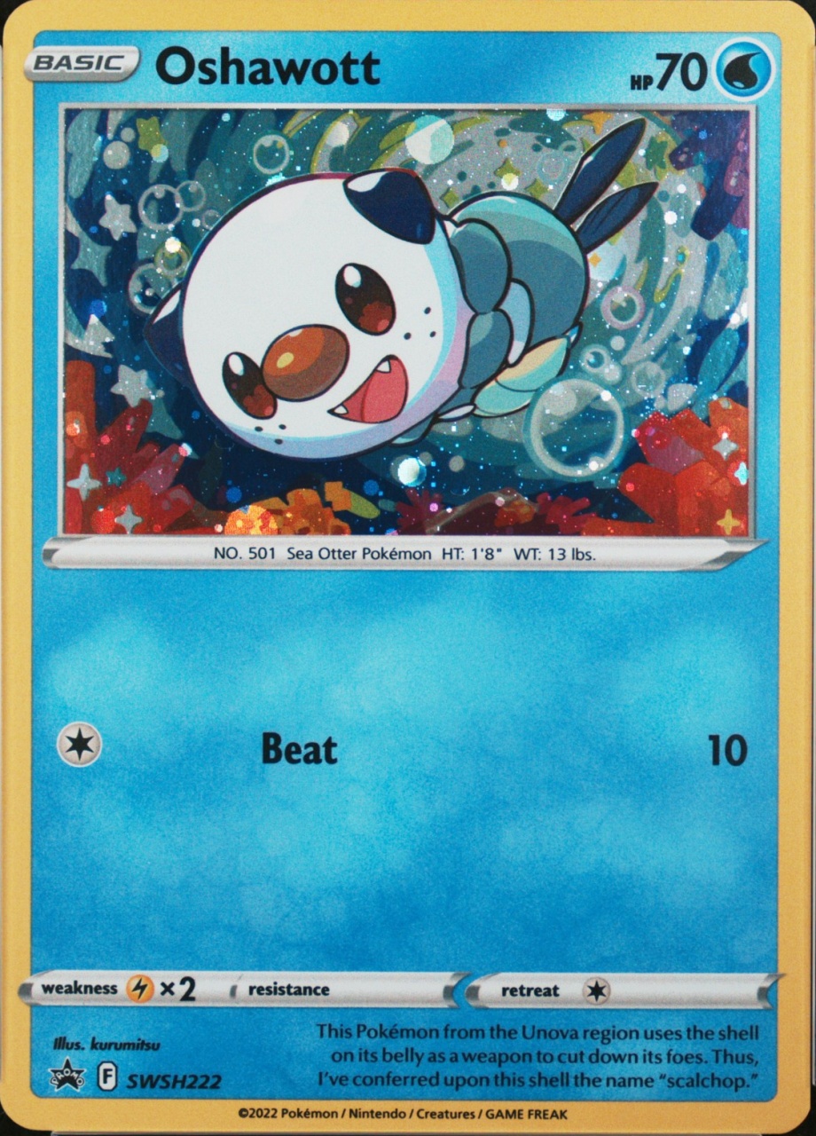 Holo · Chest Collector