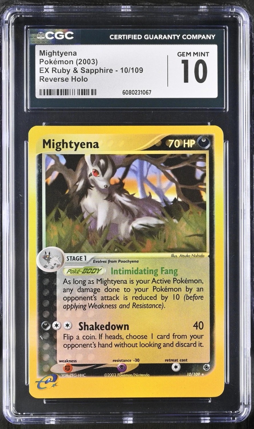 Reverse Holo
