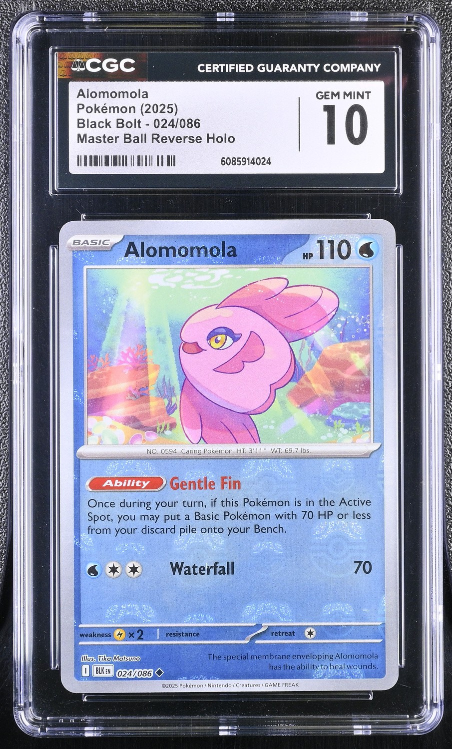 Alomomola