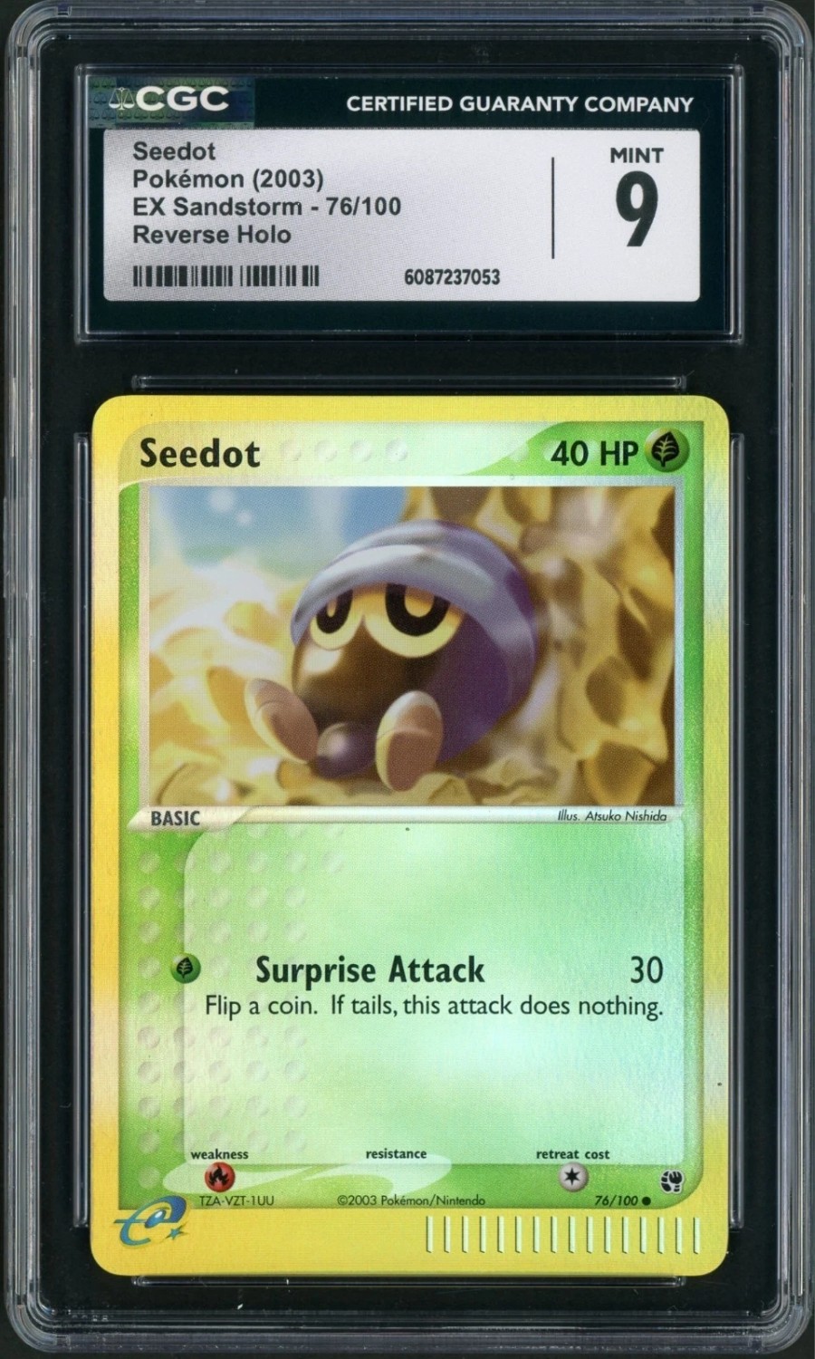 Seedot