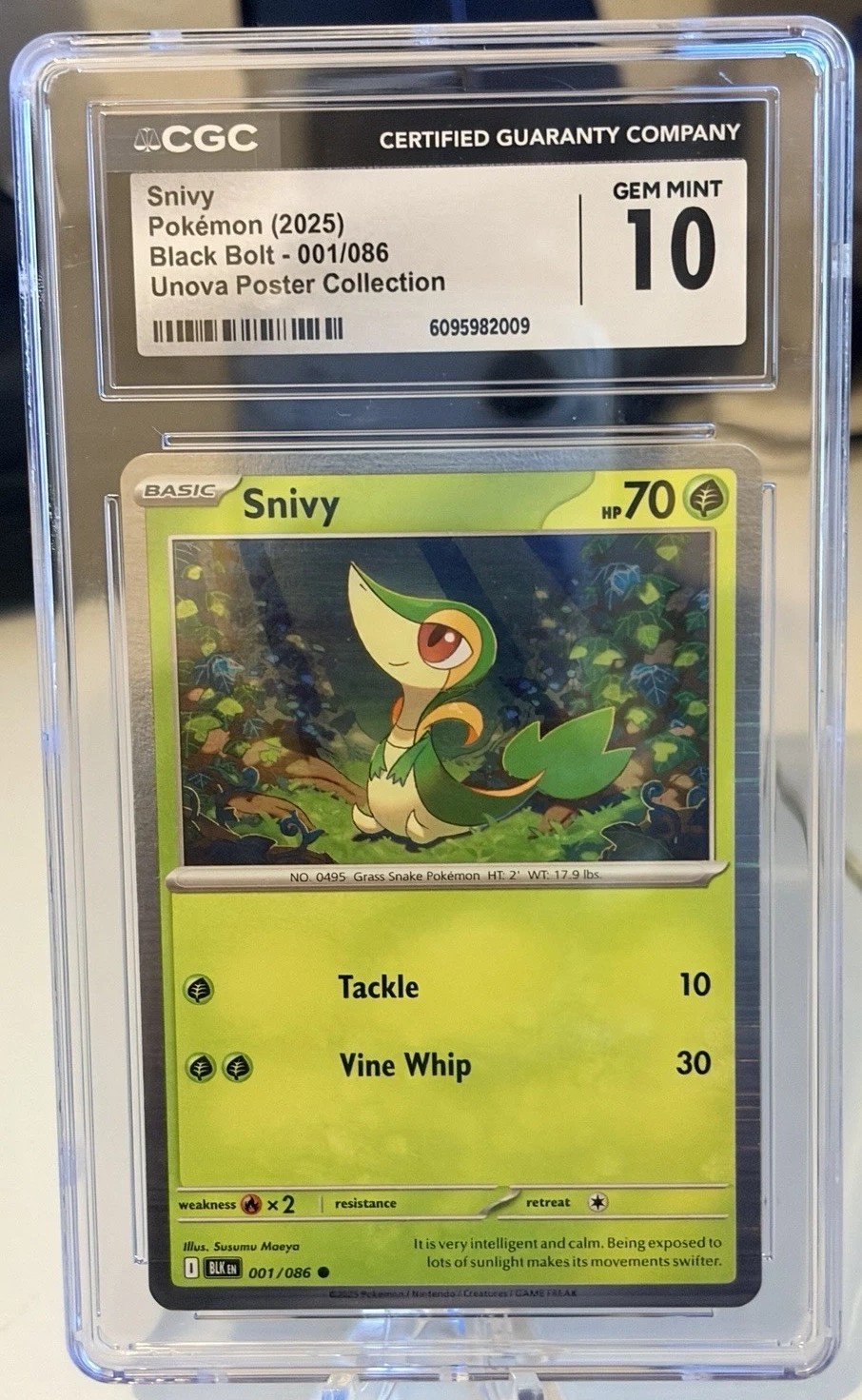 Snivy