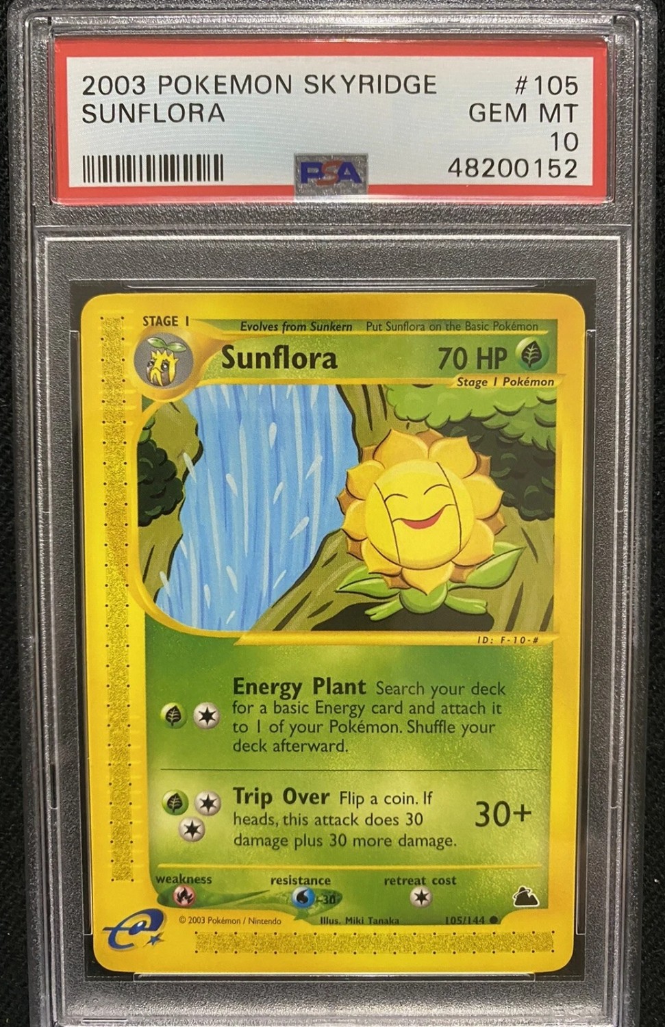 Sunflora