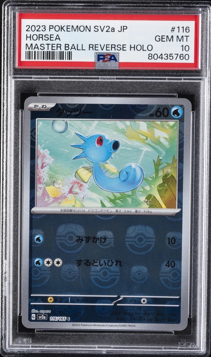 Horsea