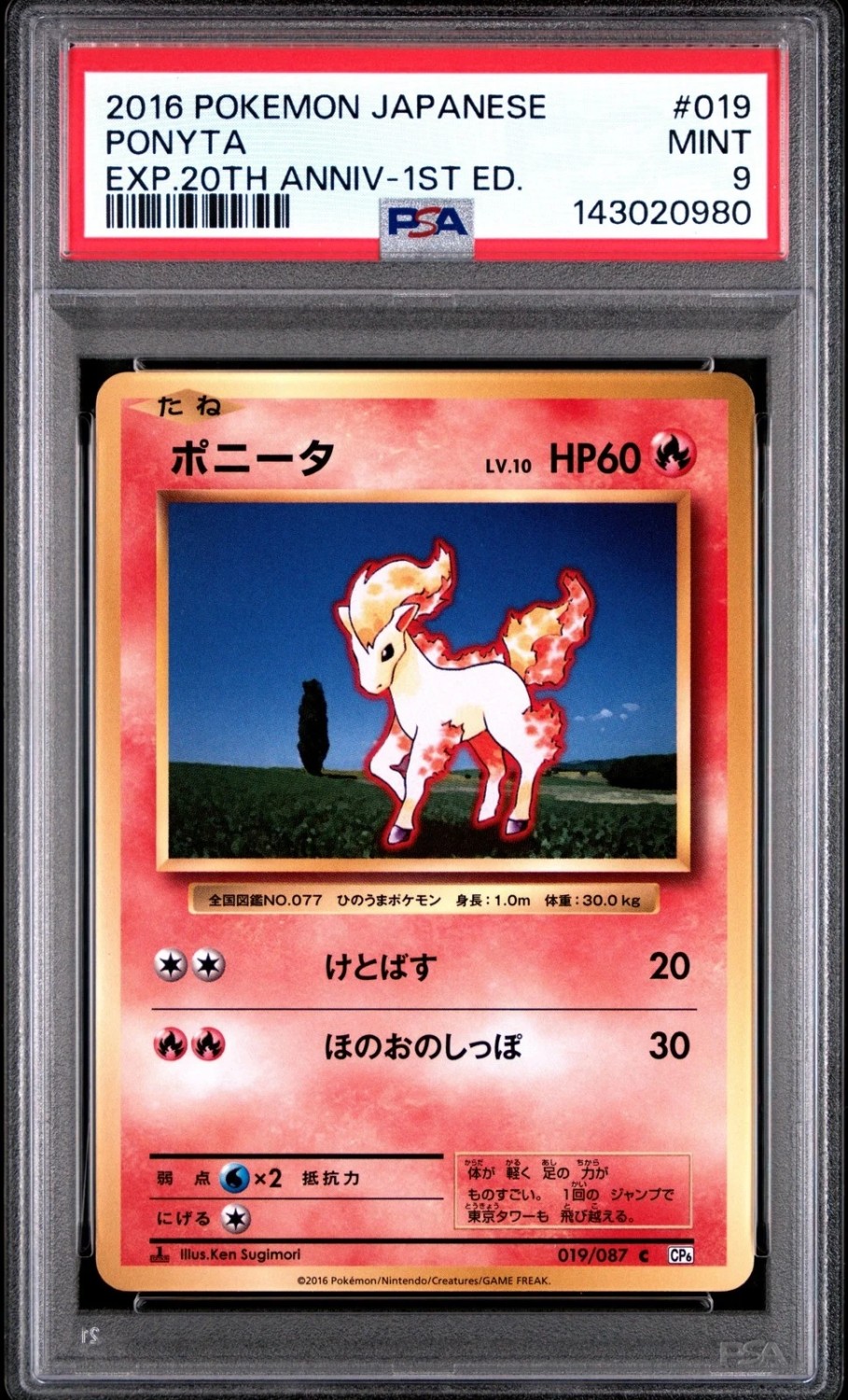 Ponyta