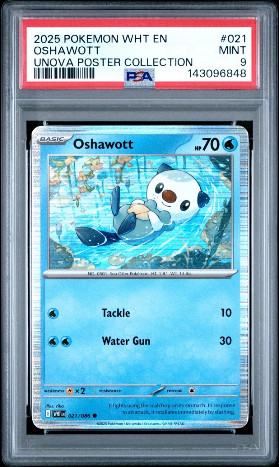 Oshawott