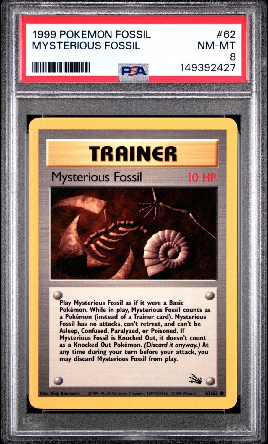 MYSTERIOUS FOSSIL