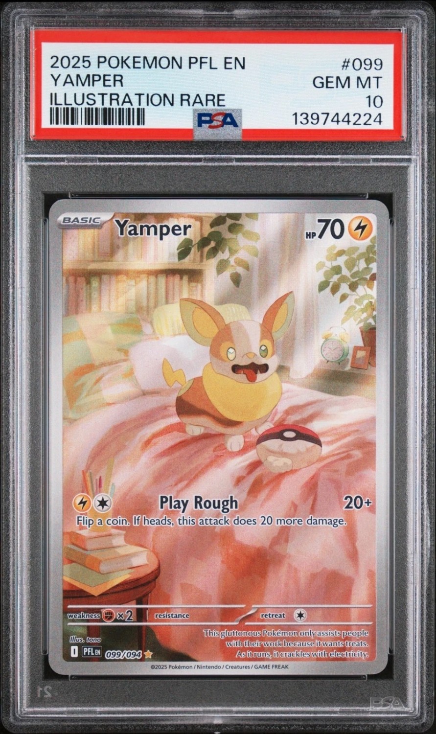 Yamper