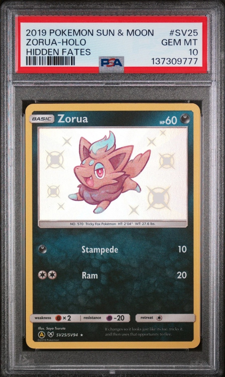 Zorua