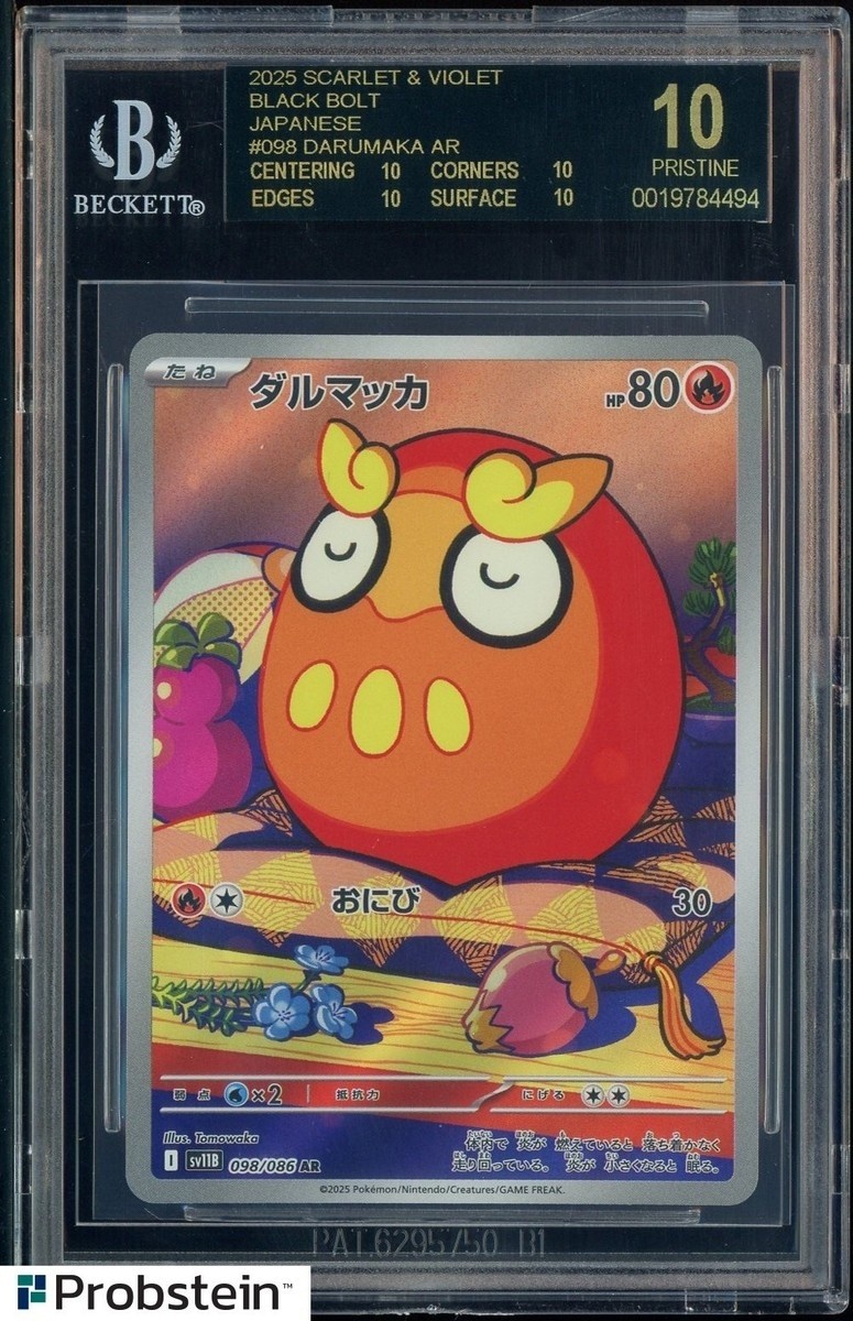 Darumaka