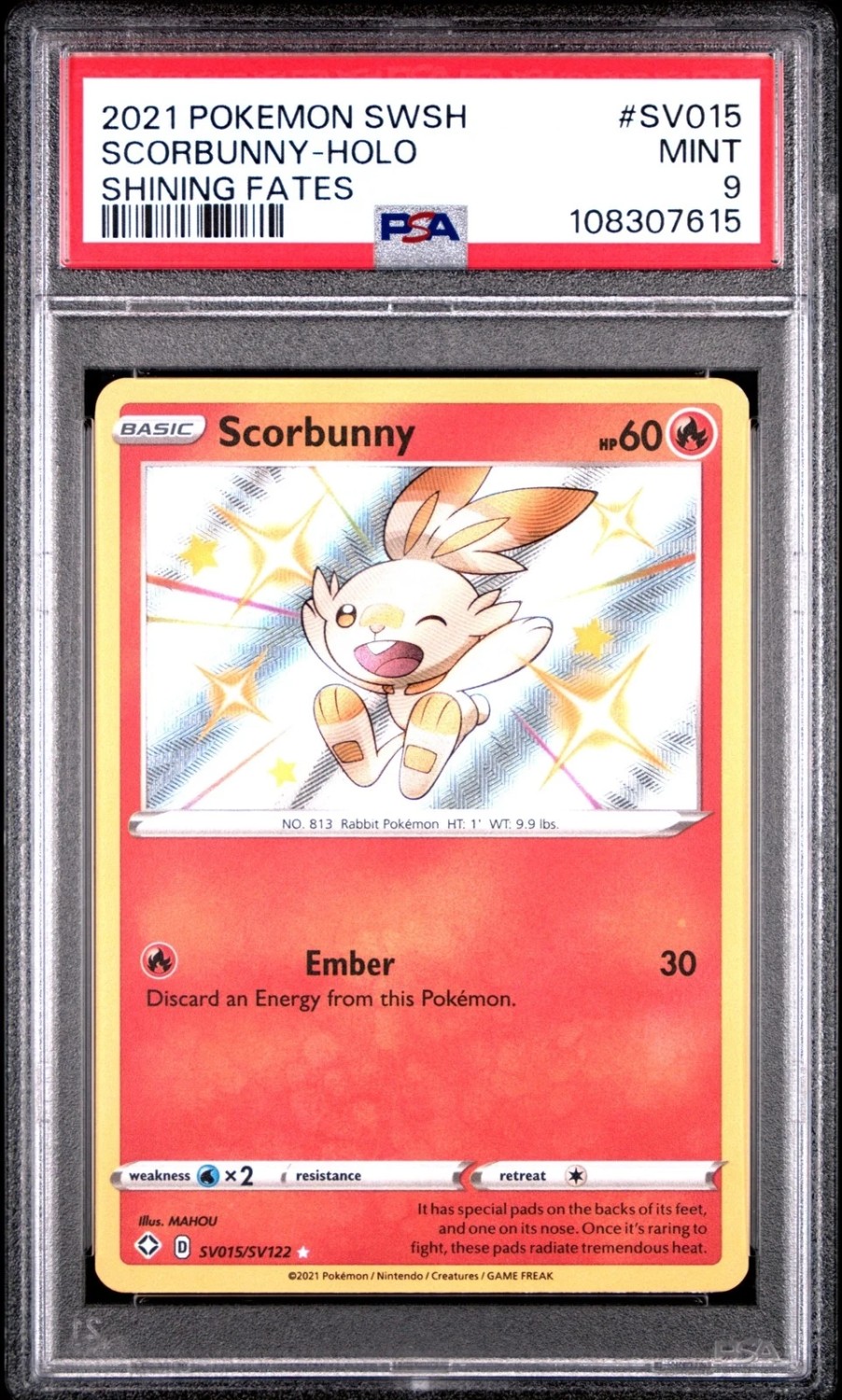 Scorbunny