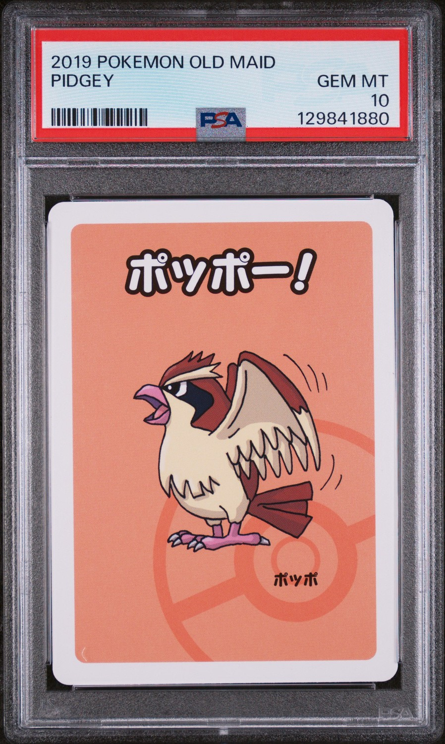 Pidgey