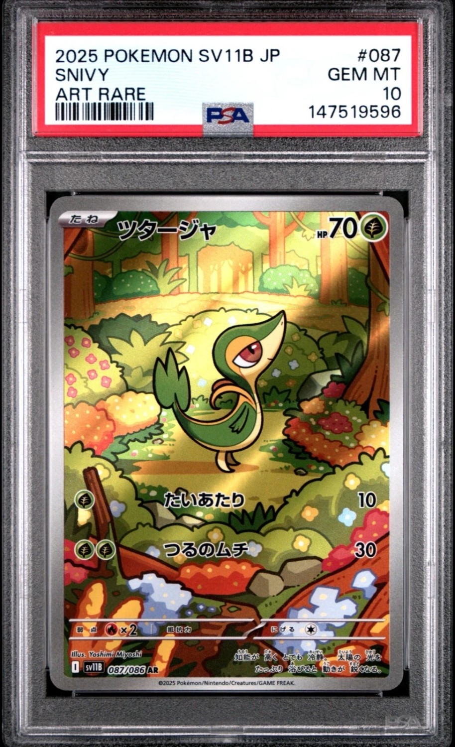 Snivy