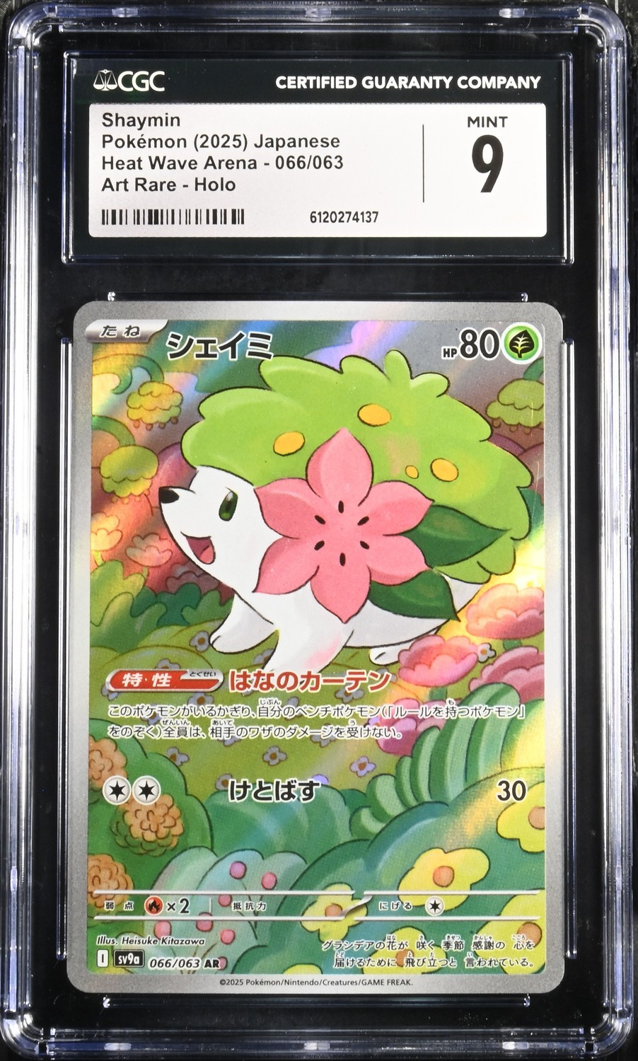 Shaymin