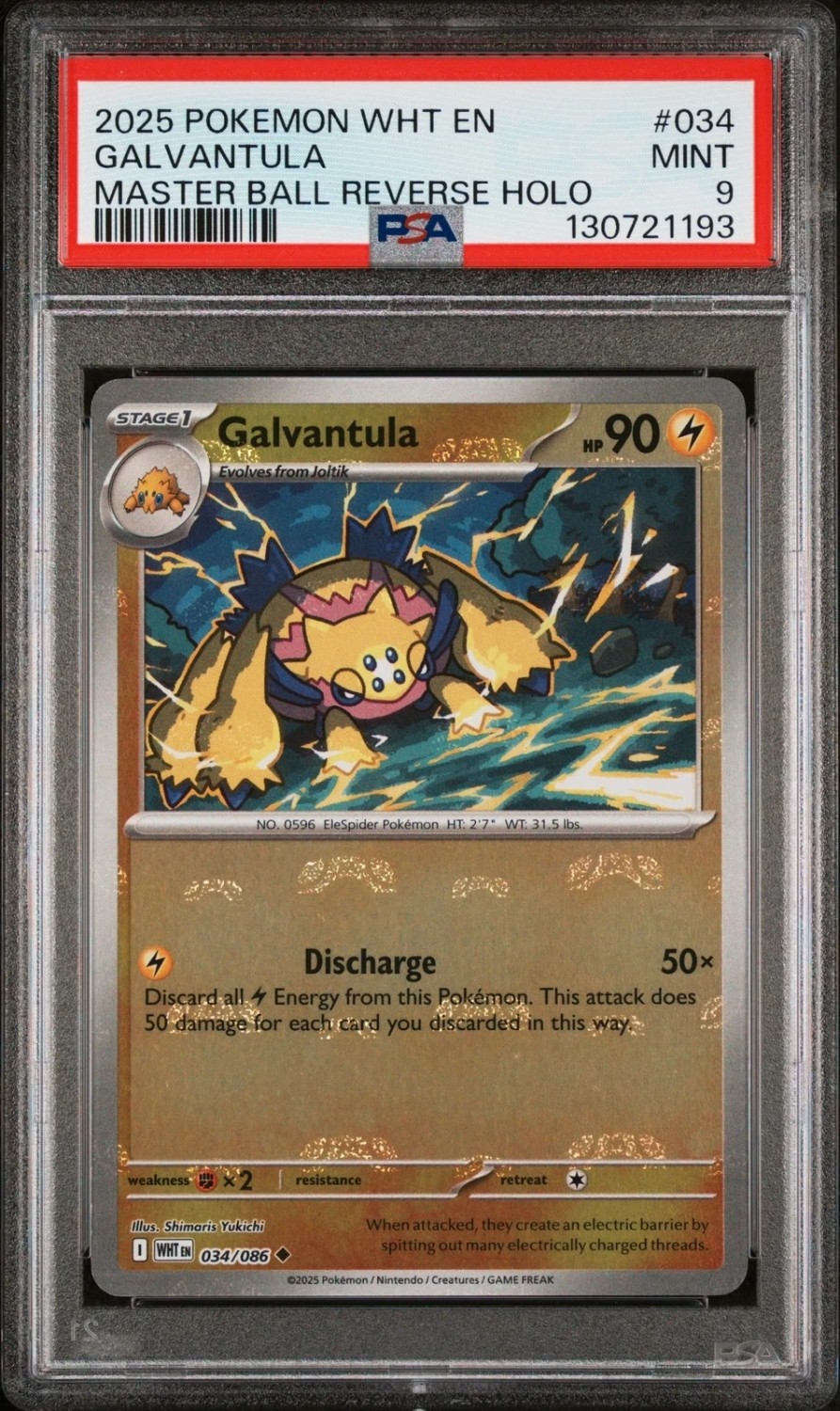 Galvantula