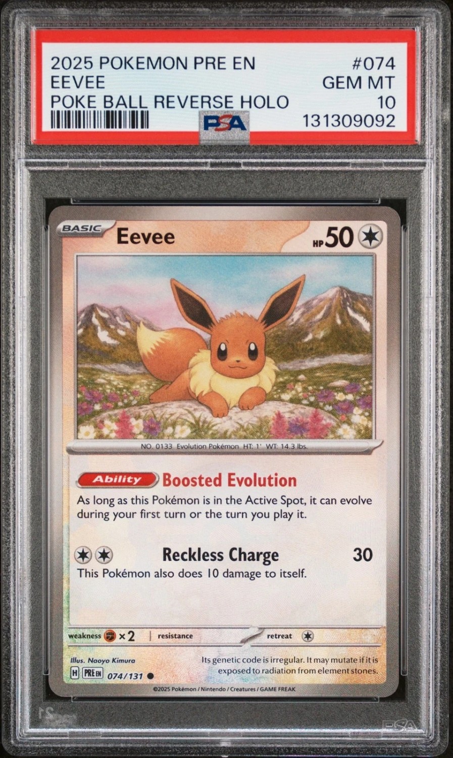 Eevee