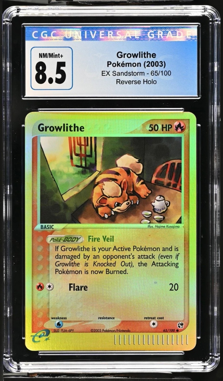 Reverse Holo