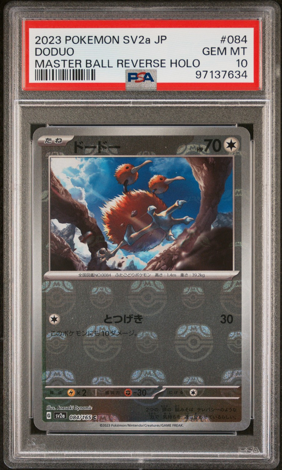 Doduo