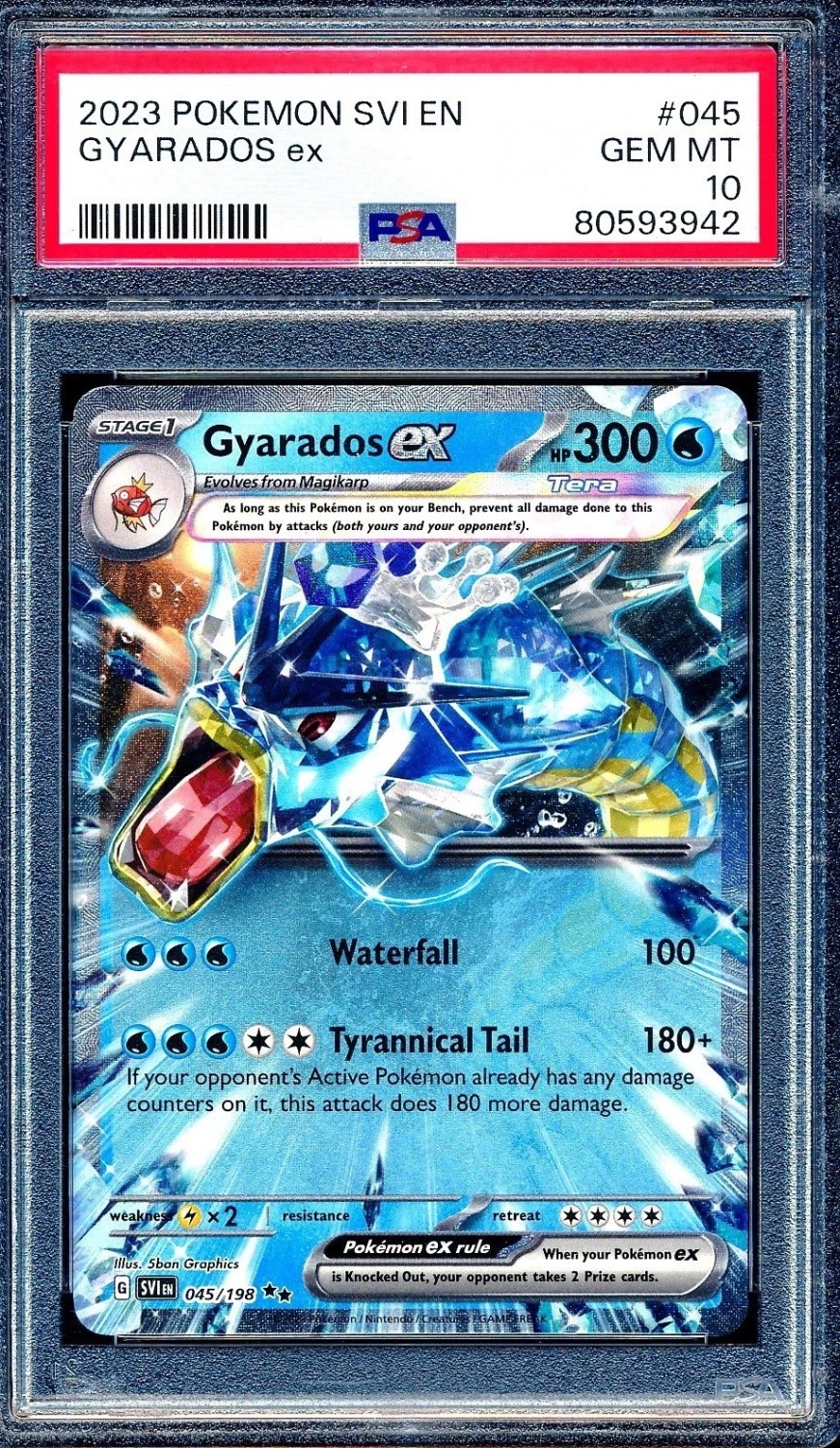 GYARADOS ex