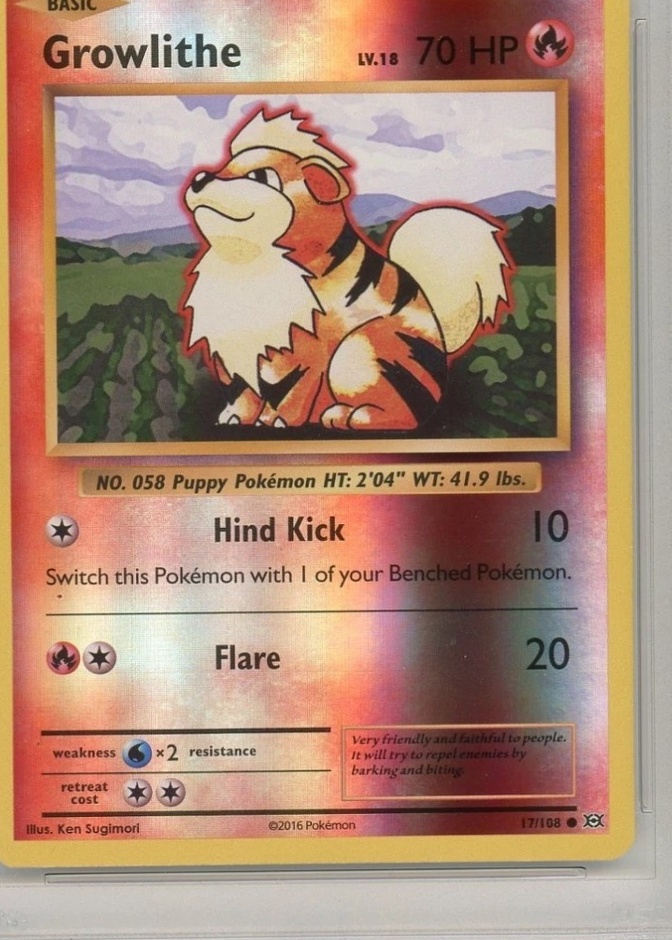 Reverse Holo