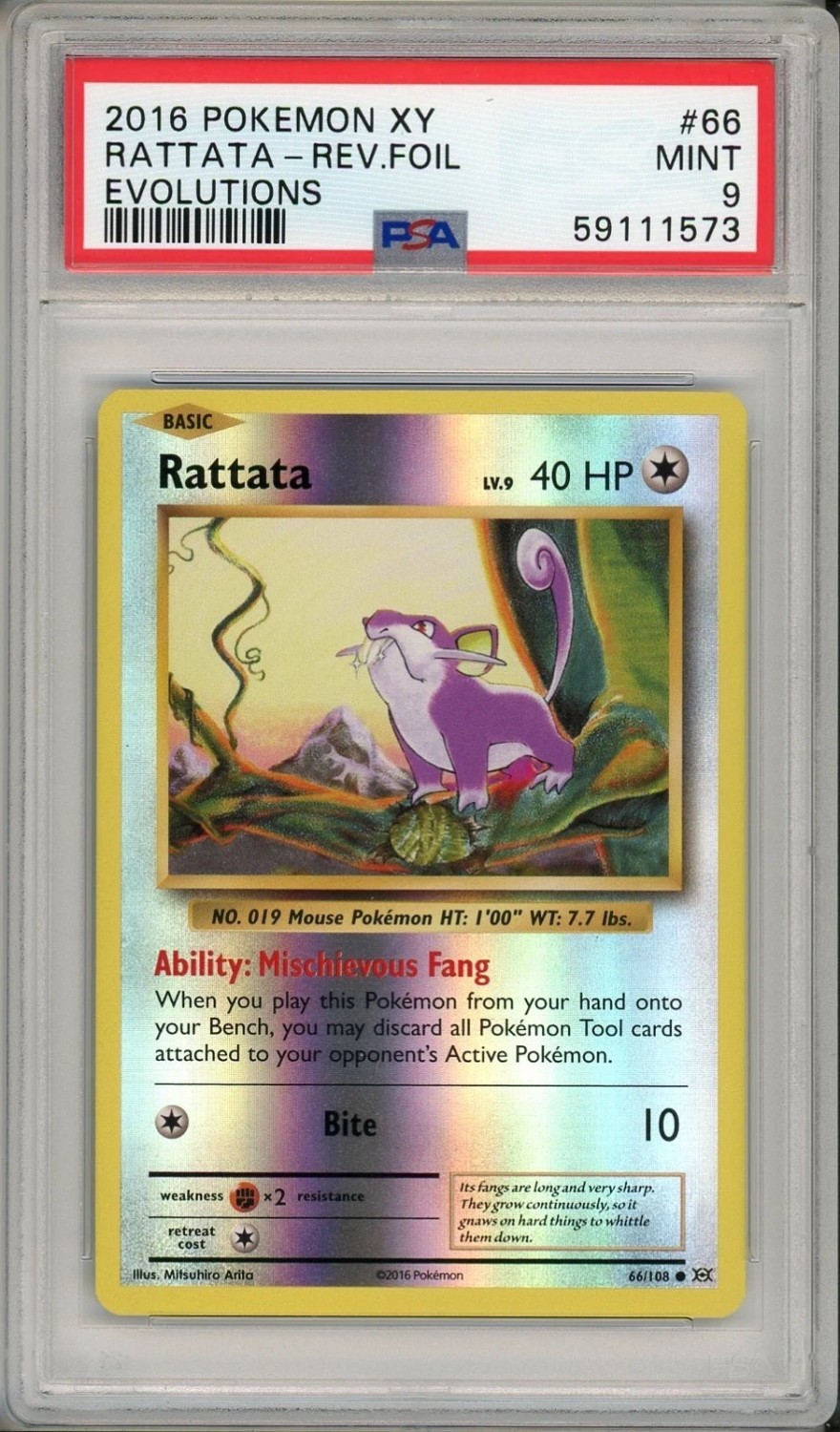 Rattata