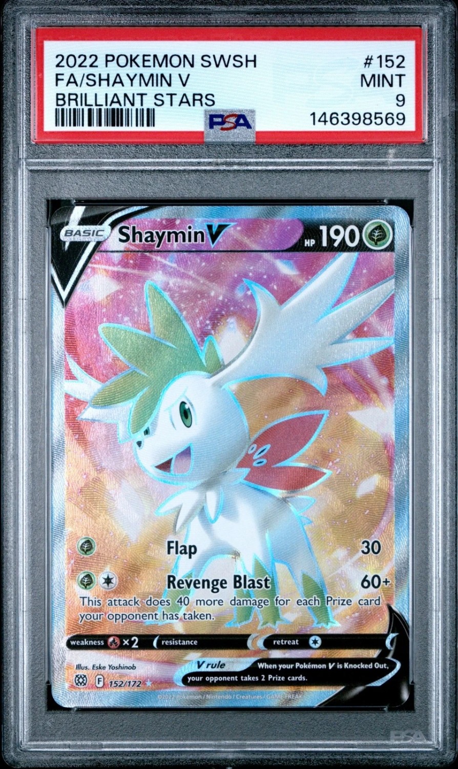 Shaymin V