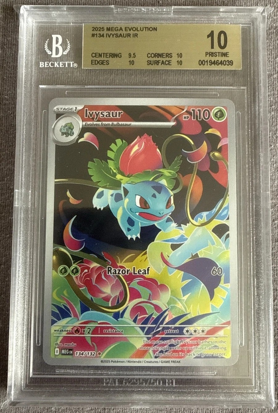 IVYSAUR
