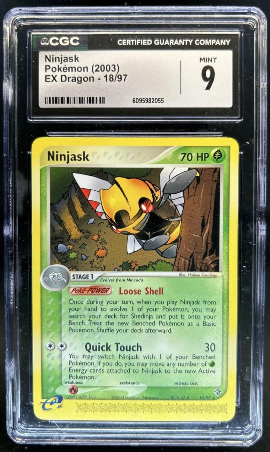 Ninjask